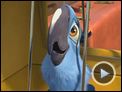 Rio Trailer OV