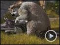 Alpha und Omega Trailer OV