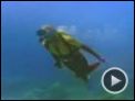The Reef Trailer OV