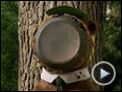 Yogi Bär Trailer DF