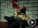Life in a Day Trailer OV