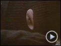 Die Stunde der Patrioten Trailer DF
