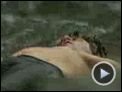 The Mission Trailer DF