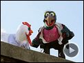 Die Muppets Trailer DF