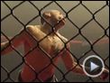 The Fighters 2: Beatdown Trailer OV