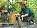 Love Birds - Ente gut alles gut Trailer OV