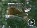 Unser Leben Trailer DF
