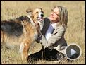 Darling Companion Trailer OV
