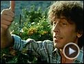 Ein mörderischer Sommer Trailer DF