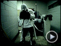 Knockdown Trailer OV