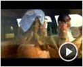 Wolf Creek Trailer DF