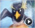 Könige der Wellen Trailer DF