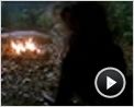 Die Insel der Abenteuer Videoclip (2) DF