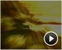 Tooth and Nail Trailer DF