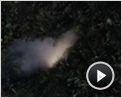 Jack Brooks: Monster Slayer Trailer DF
