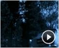 Backwoods Trailer DF