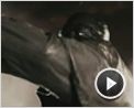 The Spirit Trailer (5) DF