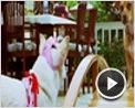 Beverly Hills Chihuahua Trailer DF