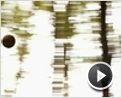Die wilden Kerle 5 Trailer DF