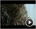 Aguirre, der Zorn Gottes Trailer (4) DF