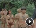 Birdwatchers Trailer DF
