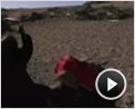 Die Stimme des Adlers Trailer DF
