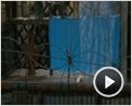 The Good, The Bad, The Weird Videoclip (6) DF