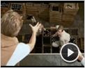 Blood Brothers Trailer DF