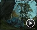 Alice im Wunderland Teaser OV