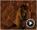 Der fantastische Mr. Fox Trailer OV