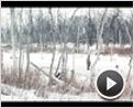 Horsemen Trailer (2) DF