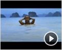 Vinyan Trailer DF