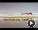 Convoy Trailer DF