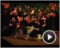 Küss den Frosch Videoclip (8) DF