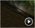 Madagascar 2 Trailer (2) DF