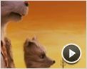 Der fantastische Mr. Fox Videoclip (3) DF