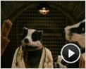 Der fantastische Mr. Fox Videoclip (5) DF