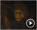 Für immer Shrek Videoclip (4)