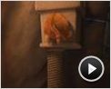 Für immer Shrek Videoclip (7)