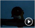Das Boot Trailer OV