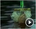 Excalibur Trailer OV