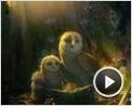 Die Legende der Wächter Trailer OV