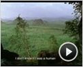 Uncle Boonmee erinnert sich an seine früheren Leben Trailer OV