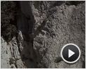 Die Höhle der vergessenen Träume Trailer DF