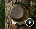 Yogi Bär Trailer DF