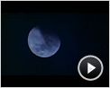 American Werewolf Trailer OV