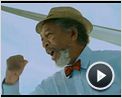 Mein Freund, der Delfin Videoclip DF