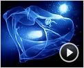 Aliens der Meere Trailer DF