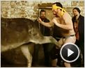 Jackass 3.5 - The Uncut Movie Trailer OV