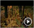 Söldner - Gesetzlos und gefürchtet Trailer OV